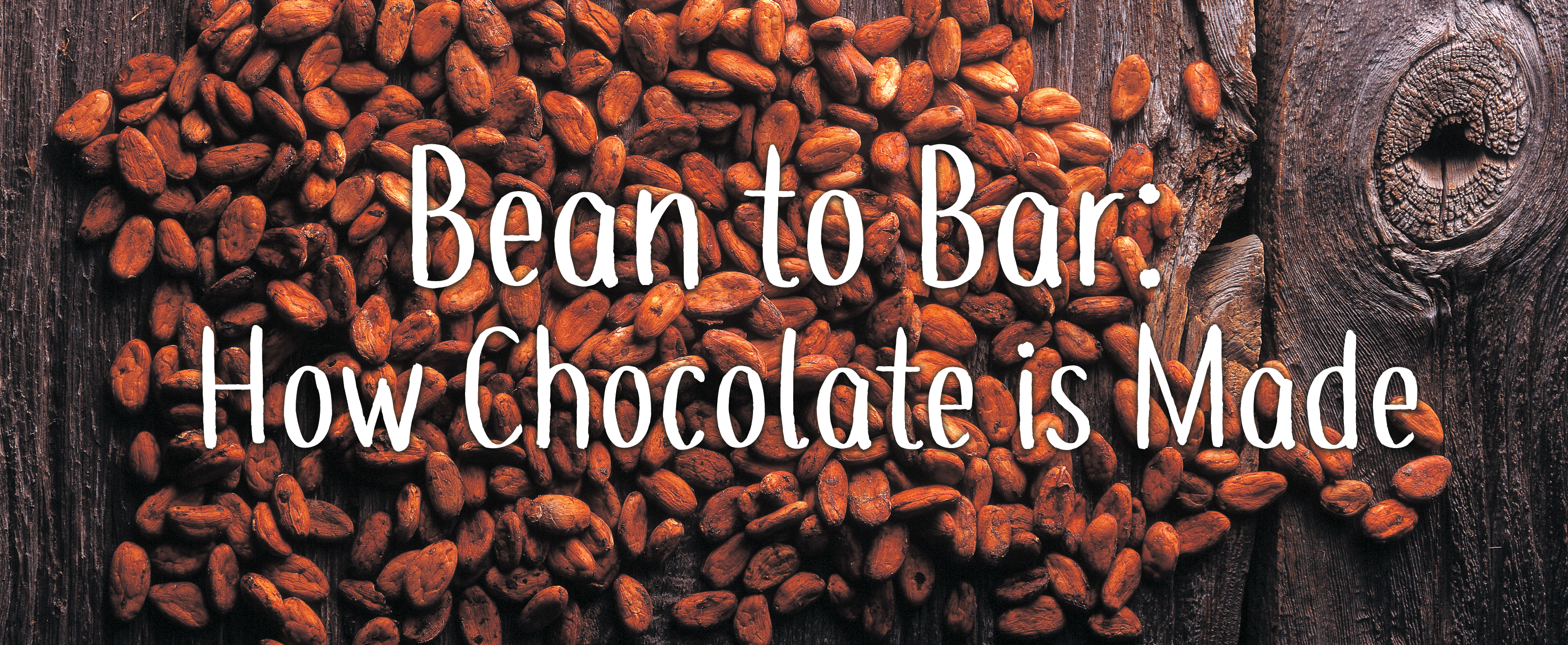 Bean to Bar: How Chocolate is Made